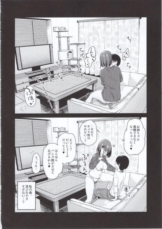 (COMITIA131) [Shin Hijiridou Honpo (Hijiri Tsukasa)] Pet Mimamori Camera ni Ane to Otouto no Sex ga Utsuttet_18