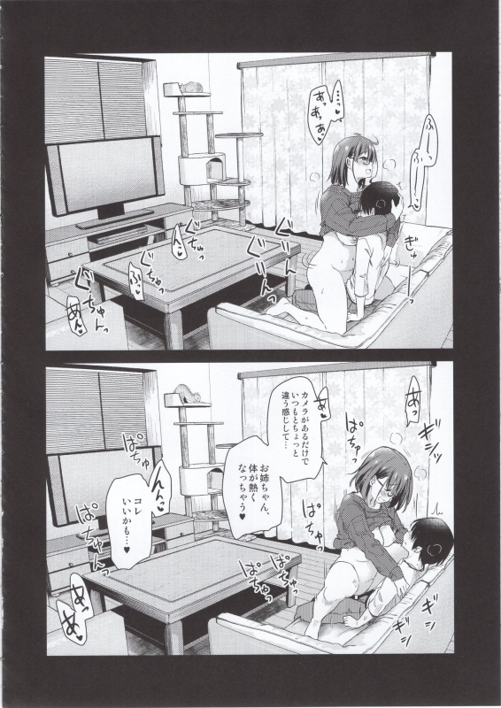 (COMITIA131) [Shin Hijiridou Honpo (Hijiri Tsukasa)] Pet Mimamori Camera ni Ane to Otouto no Sex ga Utsuttet_20