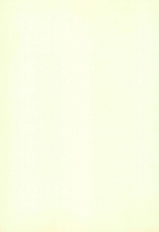 (CR24) [Keiyou Tsudanuma Juku (Akifuji Satoshi)] Tennen Shoujo 3_02