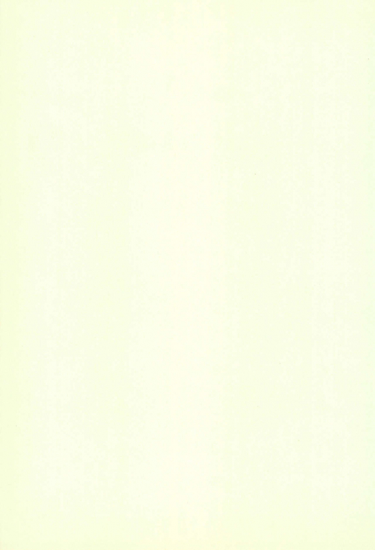 (CR24) [Keiyou Tsudanuma Juku (Akifuji Satoshi)] Tennen Shoujo 3_40