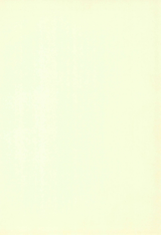 (CR24) [Keiyou Tsudanuma Juku (Akifuji Satoshi)] Tennen Shoujo 3_41