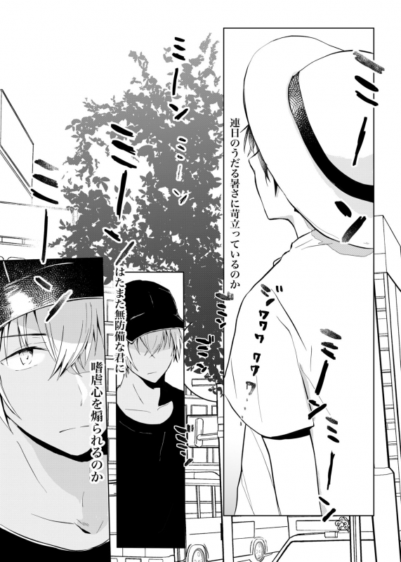 (Himitsu no Ura Kagyou 14) [coffee fudge (Wataru)] Utsusemi no Kageri (Meitantei Conan)_04