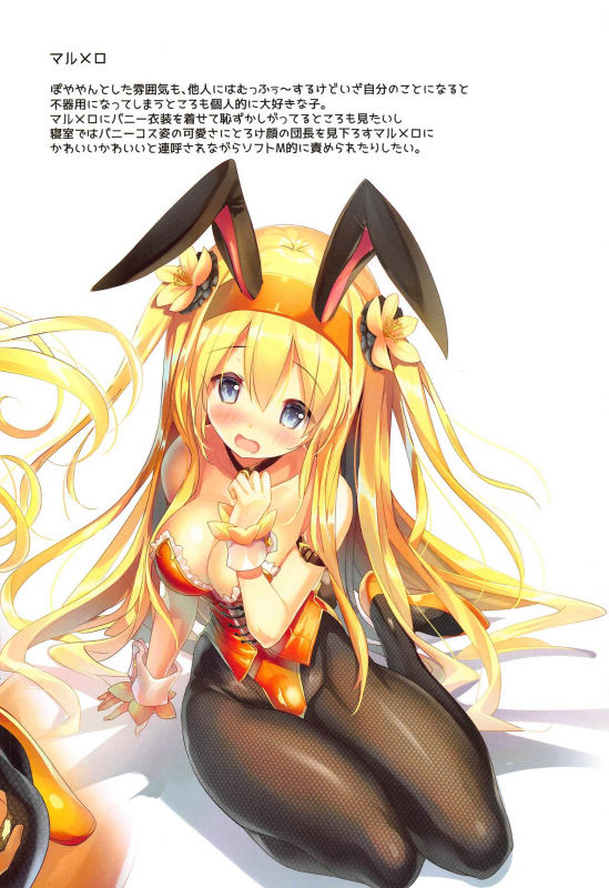 (Jabjab Maidoari! 9) [Veranda Haruniwa Keikaku (Sorimura Youji)] Haruniwa Usamimi Keikaku 2 (Flower Knight_08