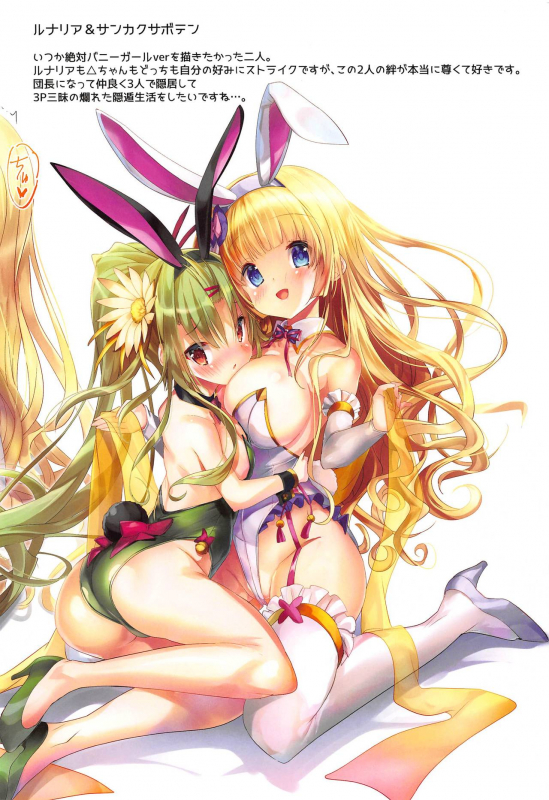 (Jabjab Maidoari! 9) [Veranda Haruniwa Keikaku (Sorimura Youji)] Haruniwa Usamimi Keikaku 2 (Flower Knight_12