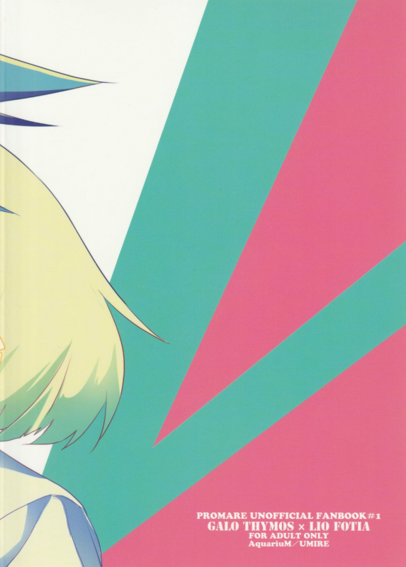 (Kanzen Nenshou!!) [AquariuM (Umire)] Ii kara Damatte Shouka Shiro! (Promare)_44