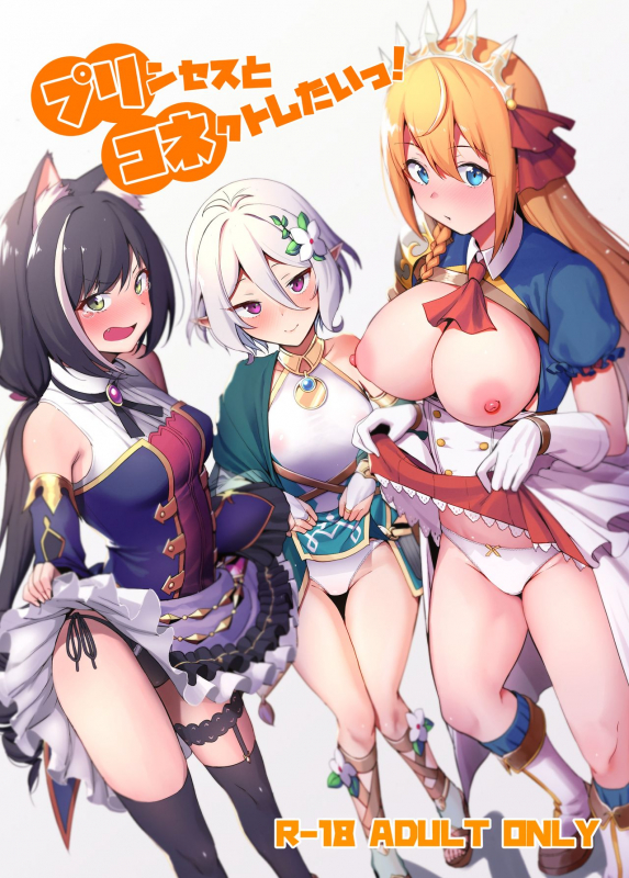 (C96) [Ikihaji Hummingbird (Amano Don)] Princess to Connect Shitai! (Pri_00
