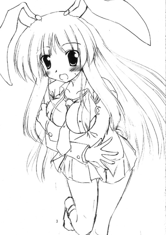 (SC33) [Yuugen Jikkou (Gonzaburo-)] BOUSOU-GET! (Touhou Project)_01