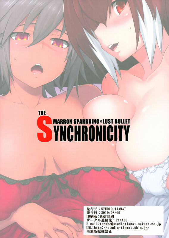 (C96) [STUDIO TIAMAT (TANABE)] BREAK BLUE THE SYNCHRONICITY (Blazblue) [English] [XCX Scans]_29