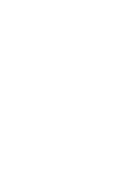 (C96) [Sakida Shoten (Sakida Saki)] Narmaya Attack!! (Granblue Fantasy) [English] [RedLantern]_04