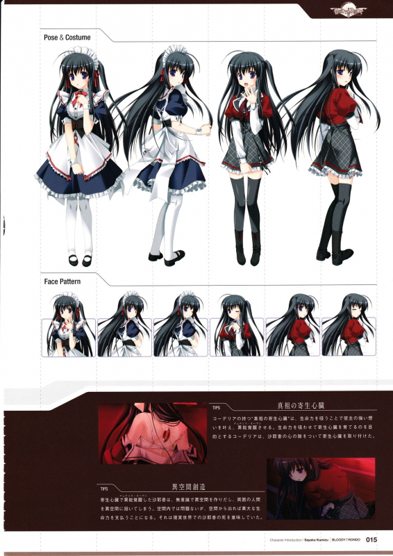 3rdEye Official Visual Fan Book RERUM MEMORIA_016