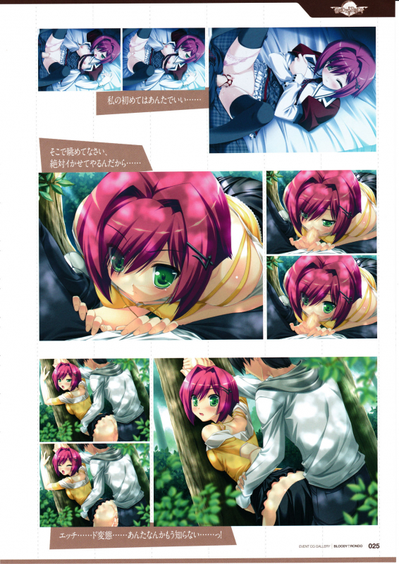3rdEye Official Visual Fan Book RERUM MEMORIA_026