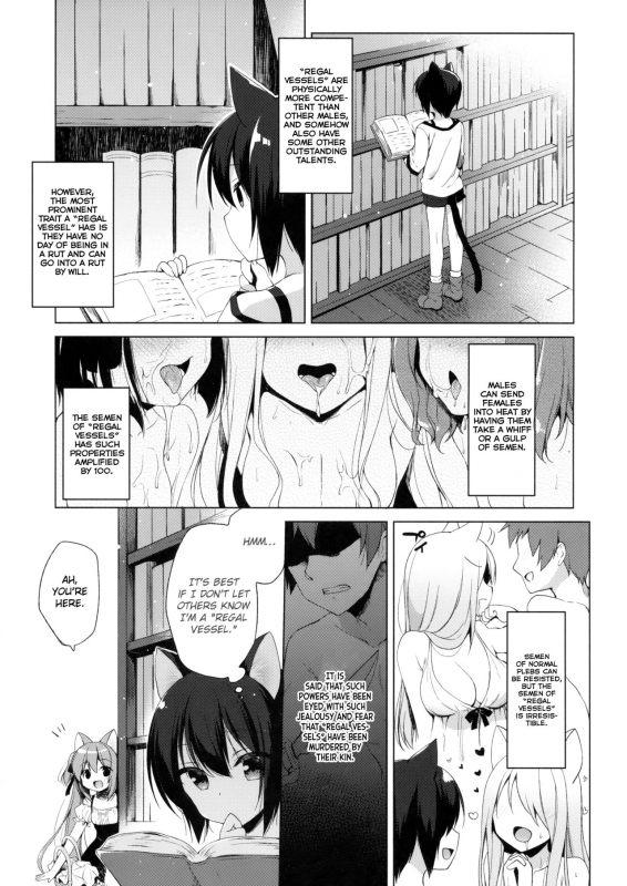 (COMIC1☆13) [23.4do (Ichiri)] Boku no Risou no Isekai_04