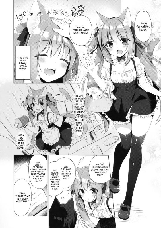 (COMIC1☆13) [23.4do (Ichiri)] Boku no Risou no Isekai_05