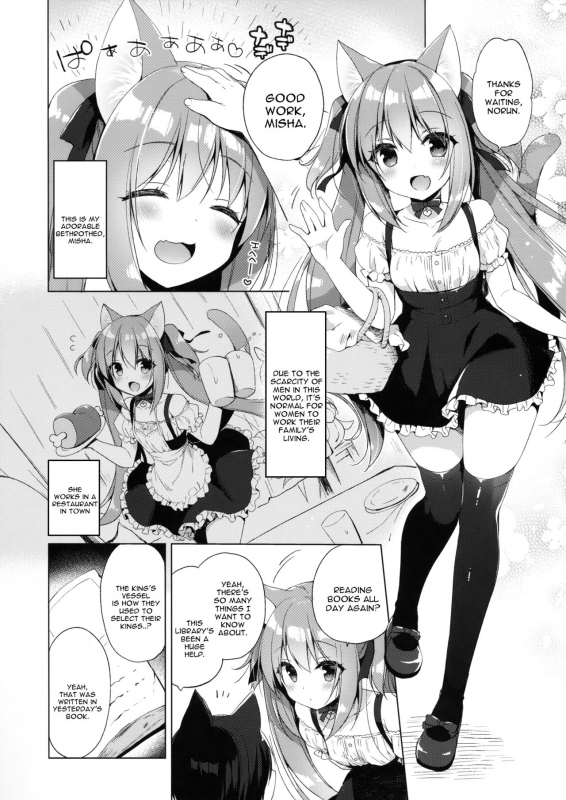 (COMIC1☆13) [23.4do (Ichiri)] Boku no Risou no Isekai Seik_05