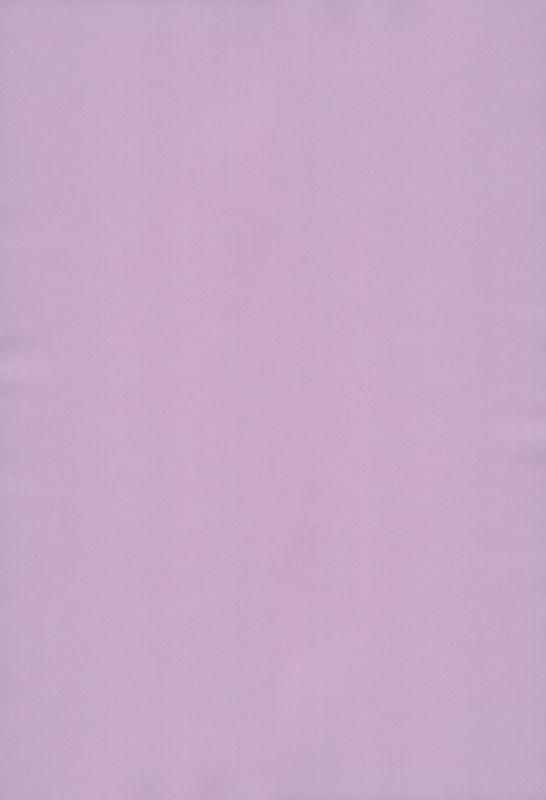 (COMIC1☆13) [Hoshikuzu Comet (Yuzuki Yua)] COMET12 (FateGrand Order) [English]_01