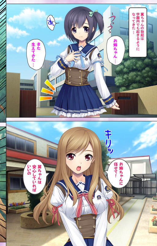 [Appetite] [Full Color Seijin Ban] Jibun no Imouto o Sukisugite… Hajimete wa Imouto no Karada de..._15