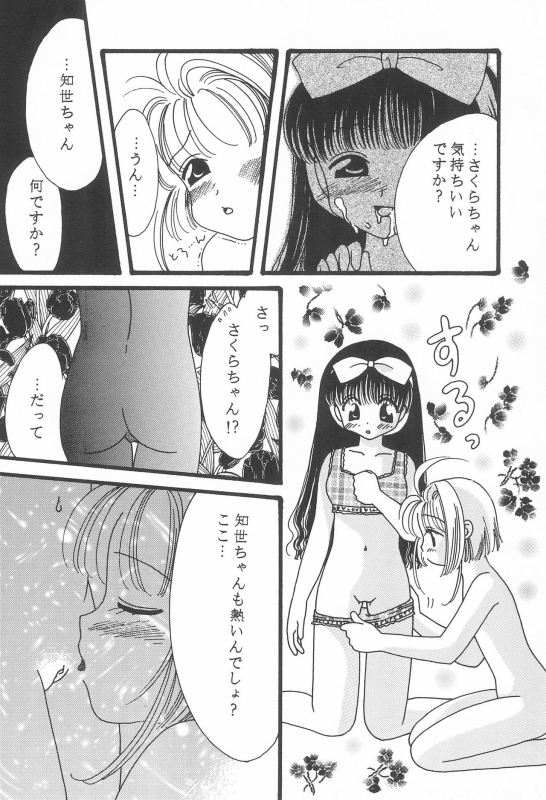 [Biwabo (Takaryou Ukyo)] S&T (Cardcaptor Sakura) [1998-09-23]_17