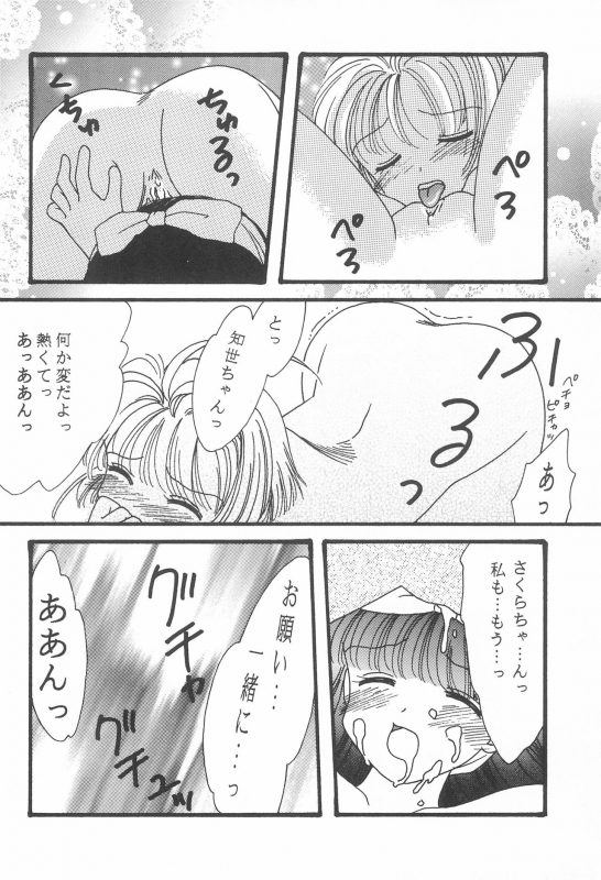 [Biwabo (Takaryou Ukyo)] S&T (Cardcaptor Sakura) [1998-09-23]_19