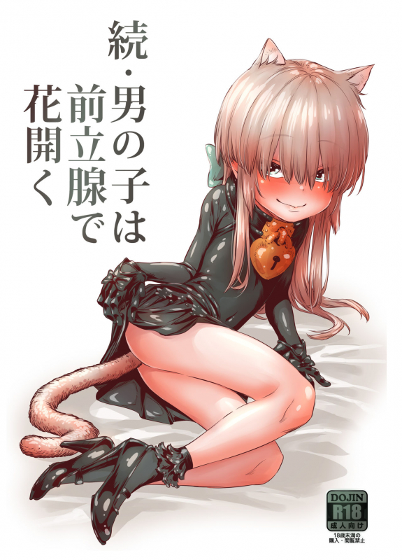 [Carradine] Zoku Otokonoko wa Zenritsusen de Hanahiraku [Digital]_00