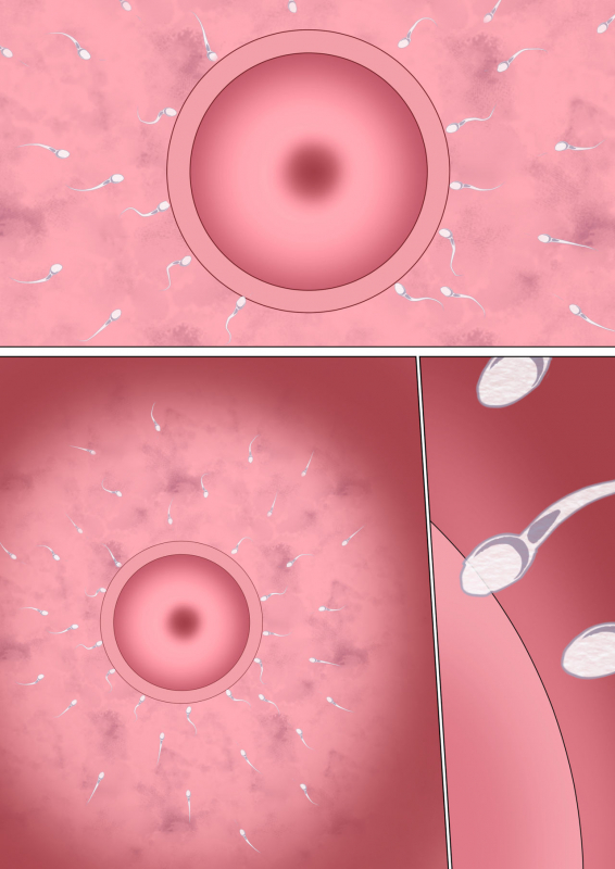 [Circle Spice] Ijimerarekko no Hahaoya ga Hamedori suru Batsu Game ni Makikomareta Kekka_300