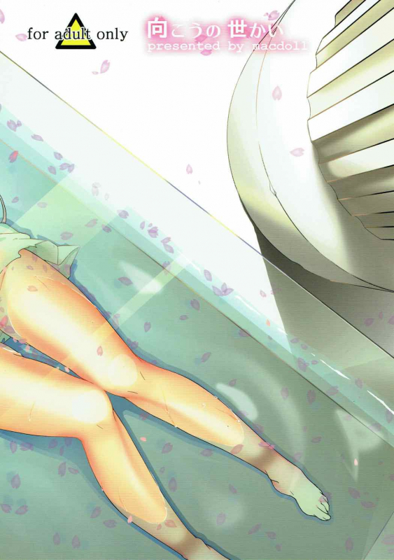 (COMIC1☆7) [macdoll (Shijou Mako)] Mukou no Sekai  The World Beyond (Magi Th_21