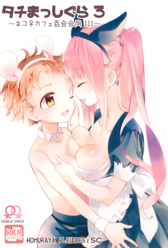 (COMITIA128) [Homuraya Pleiades, SC (Homura Subaru, Gyuunyu_29