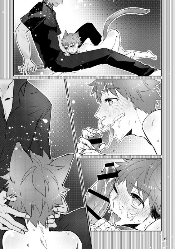 [Danmacho (Kanamasa)] puss, puss! (Fatestay night) [Digital]_13