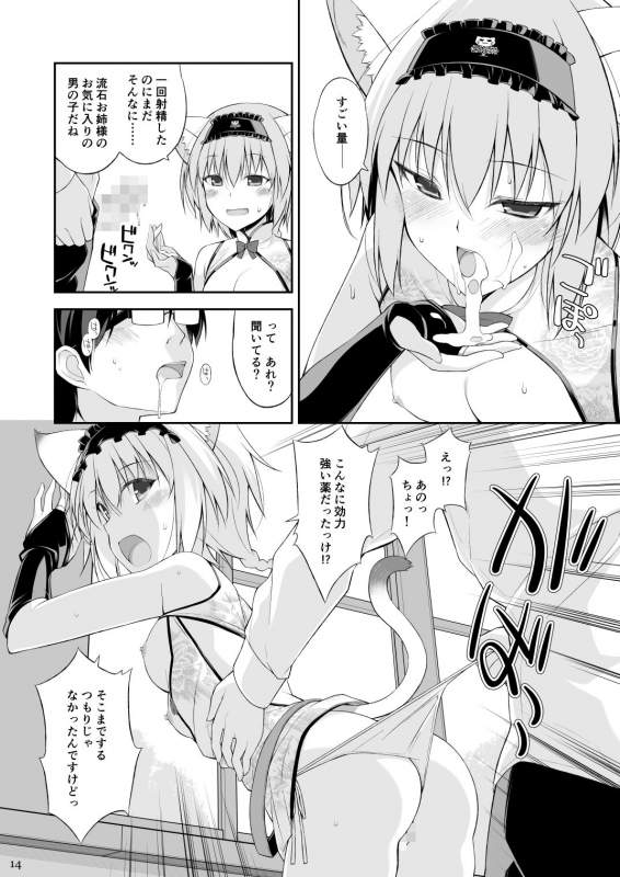 [Digital Flyer (Oota Yuuichi)] Neko to Geboku II [Digital]_12