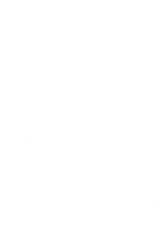 (Reitaisai 14) [Hadantorque (Torque)] Shiawase na Kuroneko (Touhou Project) [English] [誰でもいい]_01