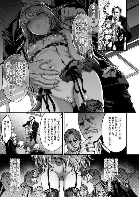 [H.B.A (Usagi Nagomu)] Tasogare no Shou Elf 6 - The story of Emma's side [Digital]_04