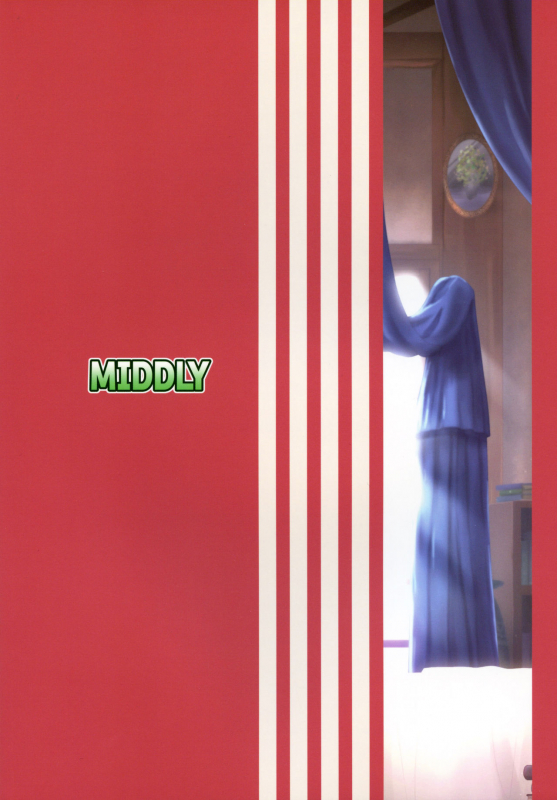 (SC2019 Spring) [MIDDLY (Midorinocha)] Kono Koto wa Futari dake no Himits_24