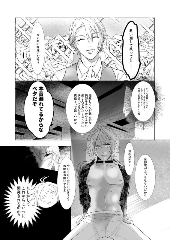 [Igiri (Rutsu)] NPP (Touken Ranbu) [Digital]_04