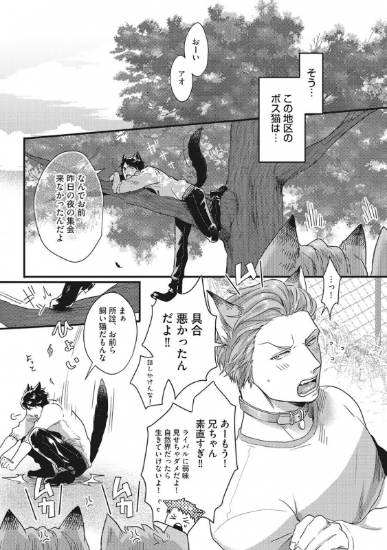 [Ikuyasu] Hatsujou Kemono Biyori (Ongoing)_06