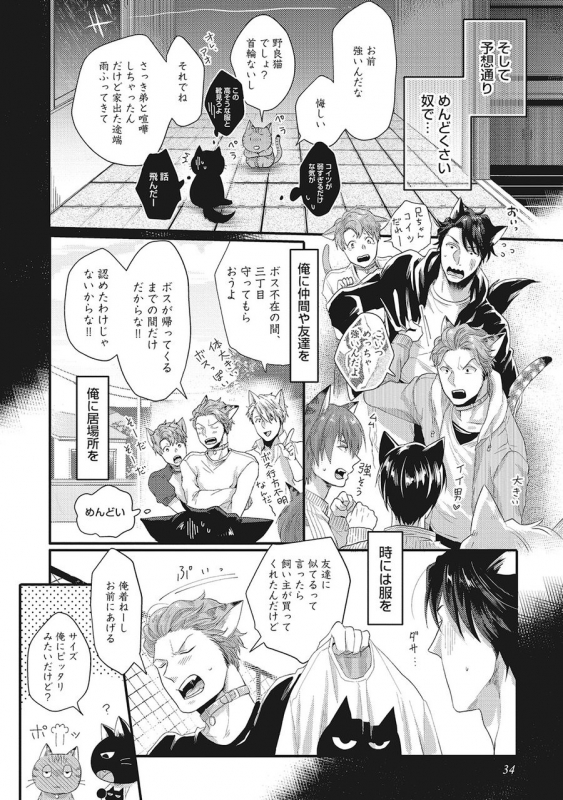 [Ikuyasu] Hatsujou Kemono Biyori (Ongoing)_35