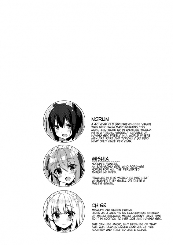 [23.4do (Ichiri)] Boku no Risou no Isekai Seikatsu 4  My Ideal _03