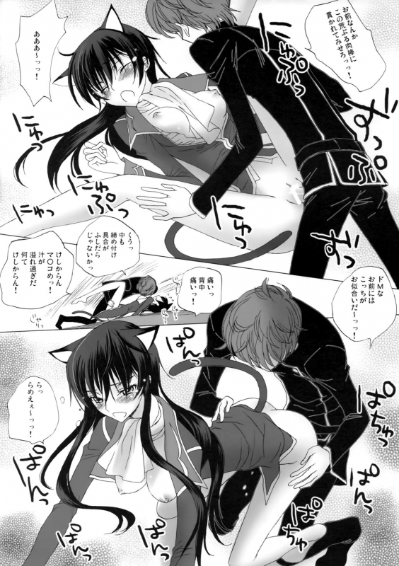 [MAX&Cool. (Sawamura Kina)] Strawberry Nyan Day (Code Geass Lelouch of the Rebellion)_05