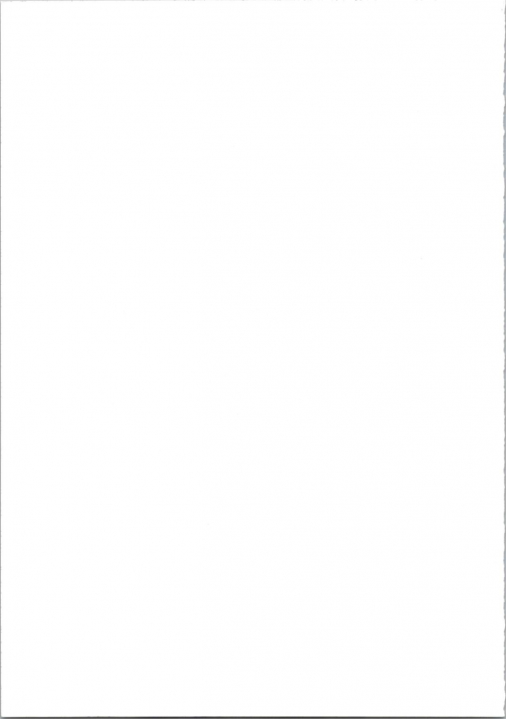 [METAL (Various)] MODEL 4 (Various)_130