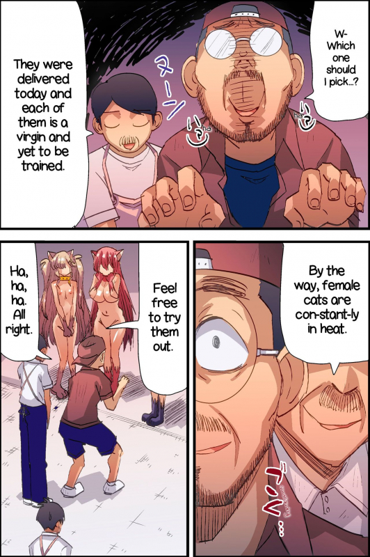 [DL Mate (Vanilla CREAM)] Honjitsu, Joshi Neko Nyuuka Shimashita!  N_06