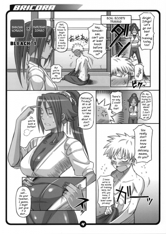 [Diogenes Club (Haikawa Hemlen)] BRICOLA Soushuuhen (Bleach) [English]_003