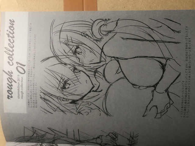 [Otomekibun (Sansyoku Amido.)] Rough Collection 01 [Raw Photo]_1