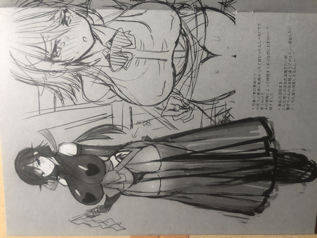 [Otomekibun (Sansyoku Amido.)] Rough Collection 01 [Raw Photo]_2