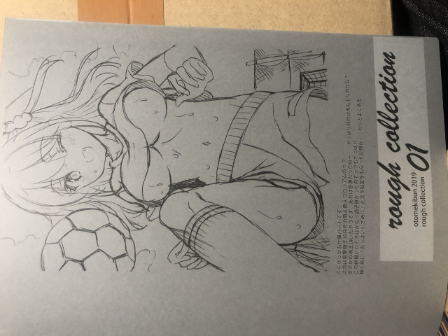 [Otomekibun (Sansyoku Amido.)] Rough Collection 01 [Raw Photo]_3