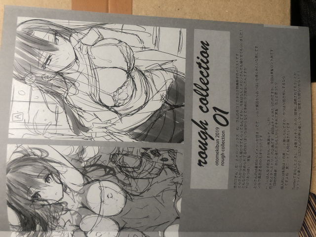 [Otomekibun (Sansyoku Amido.)] Rough Collection 01 [Raw Photo]_5