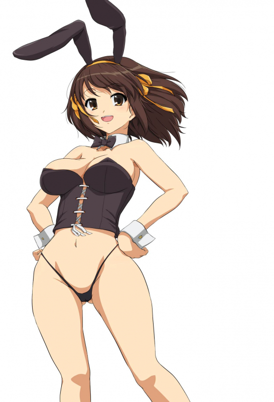 [Royal Bitch (Haruhisky)] Harucos+ (Suzumiya Haruhi no Yuuutsu) [Digital]_02