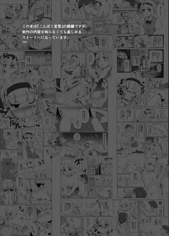 [Seiun Neopolis (Fuji Norihiro)] Konpaku Sengen 2 (Touhou Project) [Digital]_02