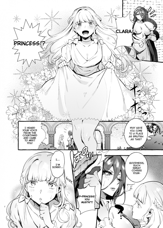 [Hibon (Itami)] Ochinpo Onna Knight to Shojo Hime  The Princess and the Kn_02