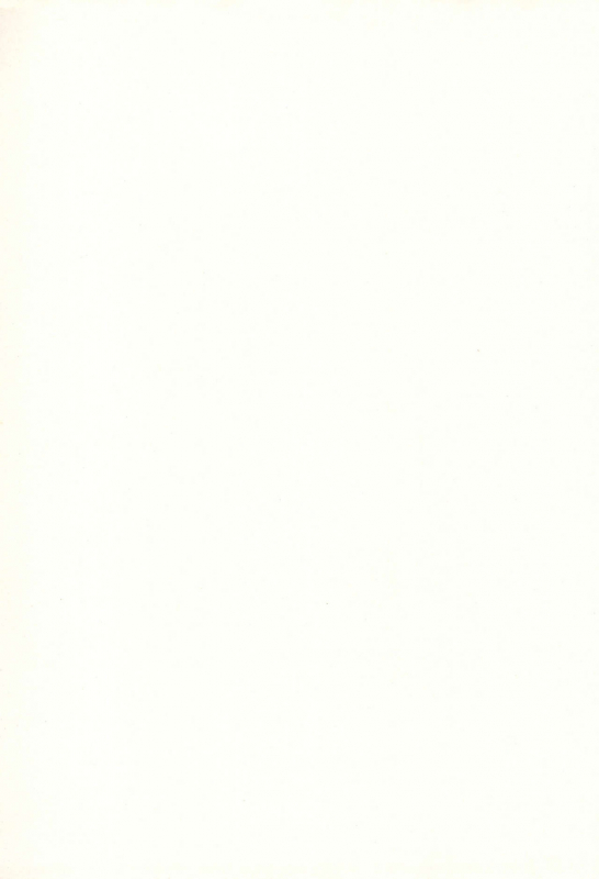 [Shinobi no Yakata (Iwama Yoshiki)] JEWEL BOX 6 (Card Captor Sakura)_02