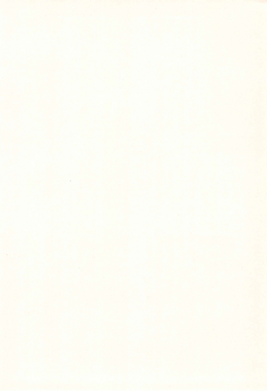 [Shinobi no Yakata (Iwama Yoshiki)] JEWEL BOX 6 (Card Captor Sakura)_03