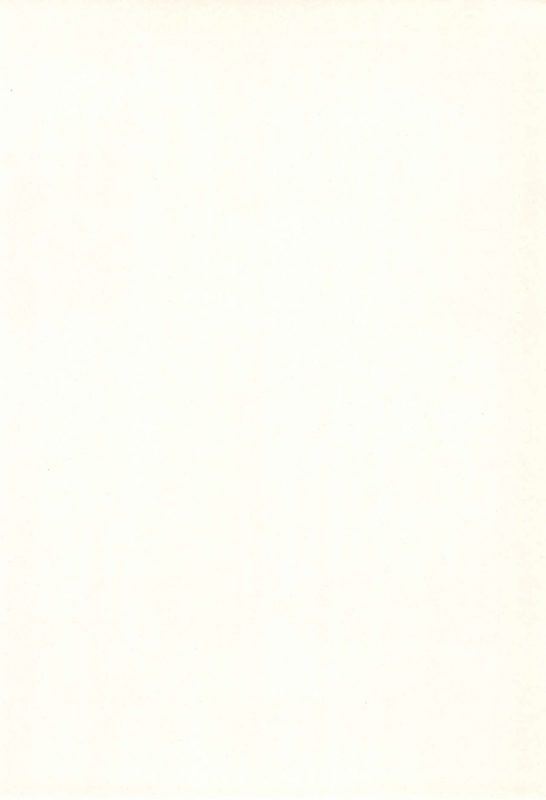 [Shinobi no Yakata (Iwama Yoshiki)] JEWEL BOX 6 (Card Captor Sakura)_29