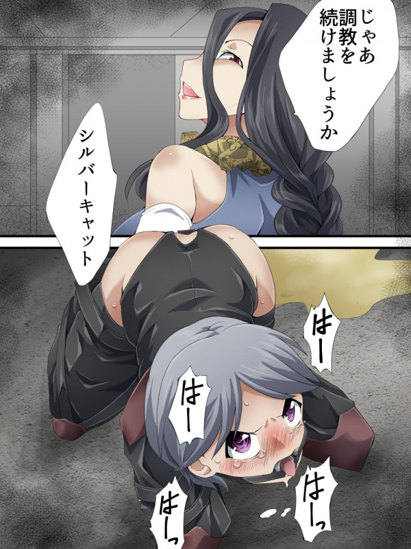 [Yumekakiya (Yakumo Ginjirou)] Kaitou Silver Cat Manga Ban Dai 6-wa_25